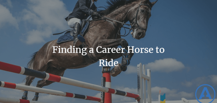 Finding a Career Horse to Ride