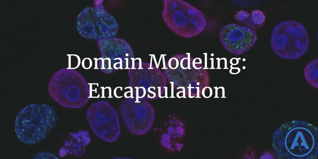 featured image thumbnail for post Domain Modeling - Encapsulation
