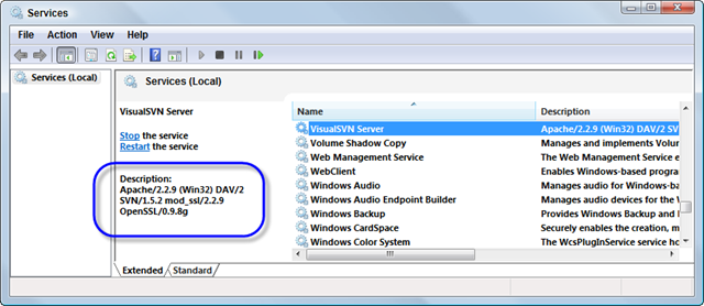 services - visualsvn - apache