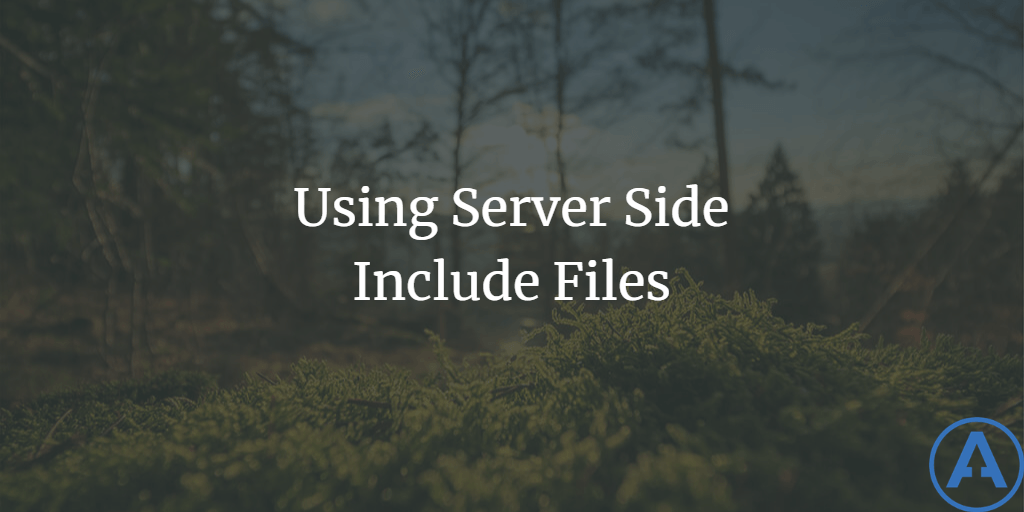 Using Server Side Include Files